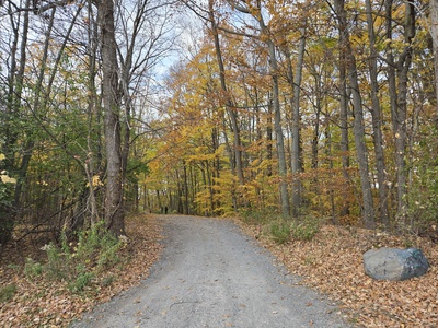 RIT Nature Trail